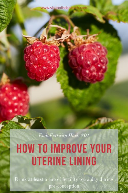red-raspberry-leaves-and-fruit-improve-uterine-lining-and-fertility