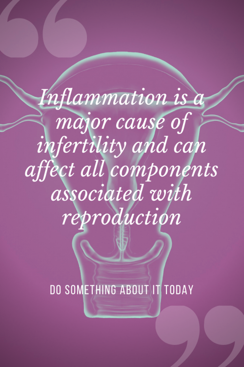 Inflammation-major-cause-of-infertility